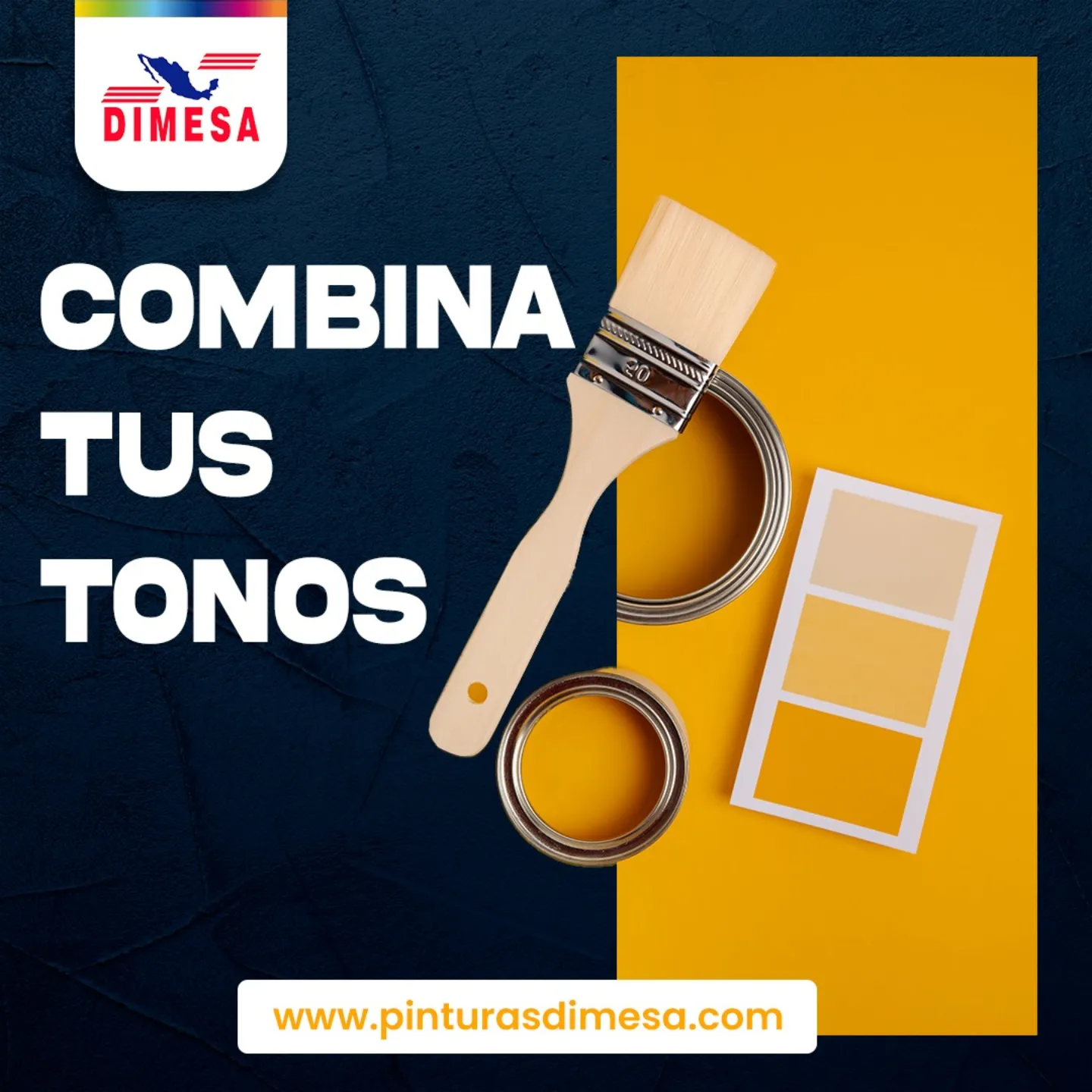 Dimesa Pinturas - 🎨 ¡Dale vida a tus espacios con la... | Facebook