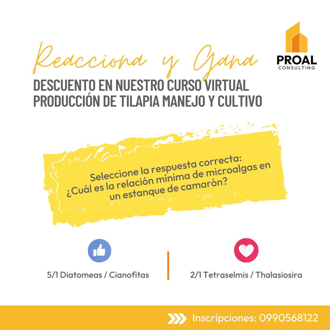 💥 Participa y gana 🎁🎁🎁 Responde... - PROAL Consulting | Facebook