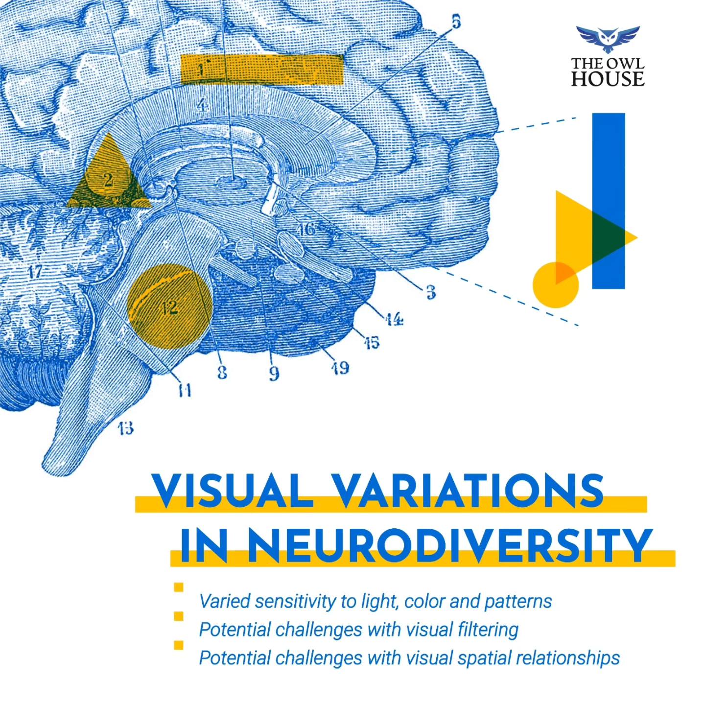 The Owl House - Visual variations in neurodiversity. 📖🧠... | Facebook