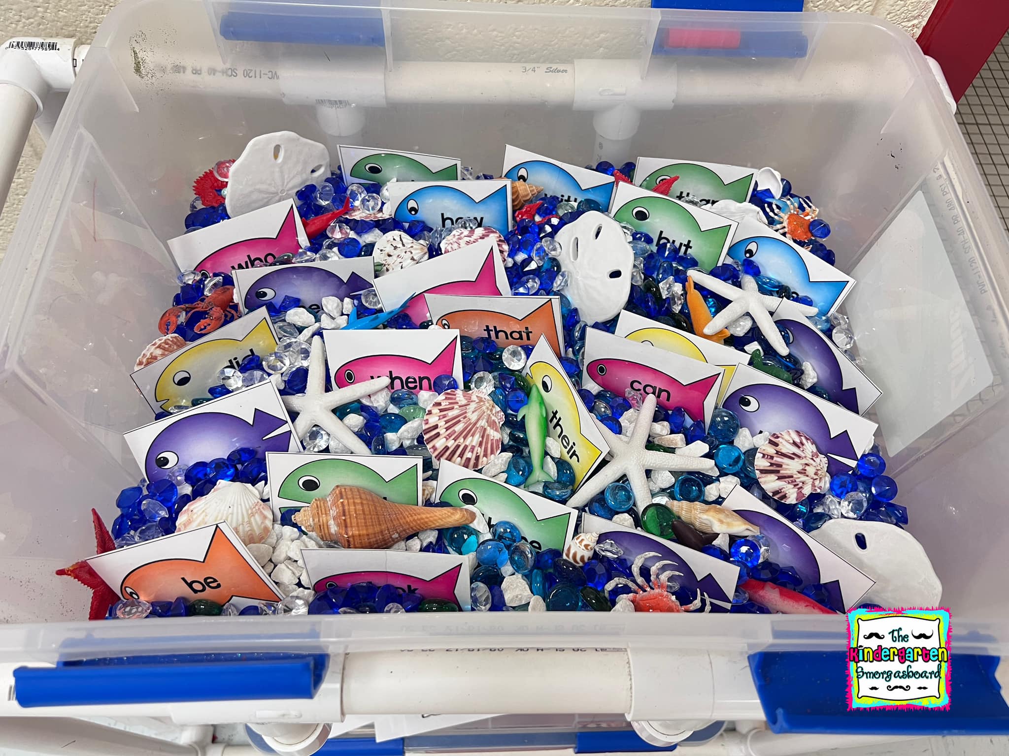 Our newest sensory bins are... - Kindergarten Smorgasboard | Facebook