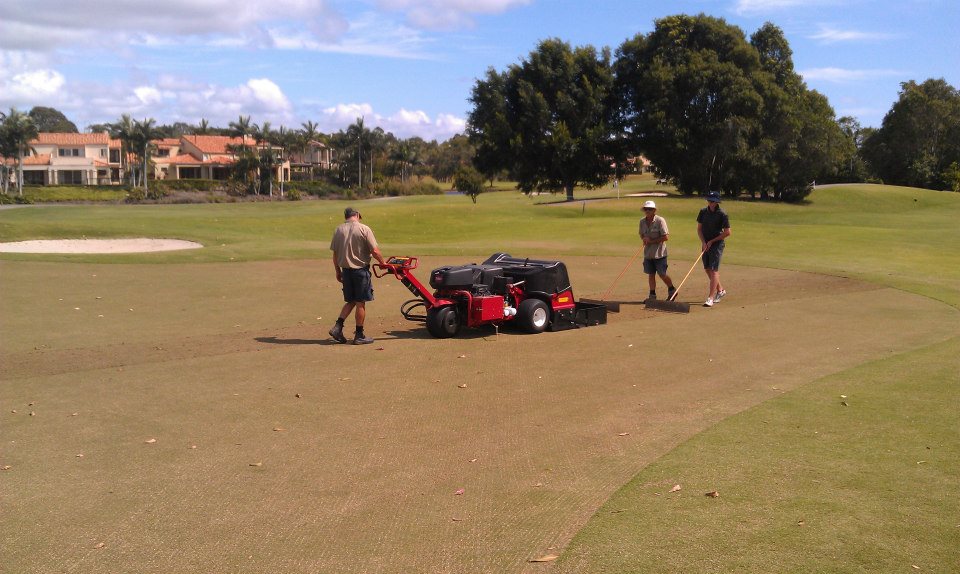 Dynamic Turf Management | Noosa QLD