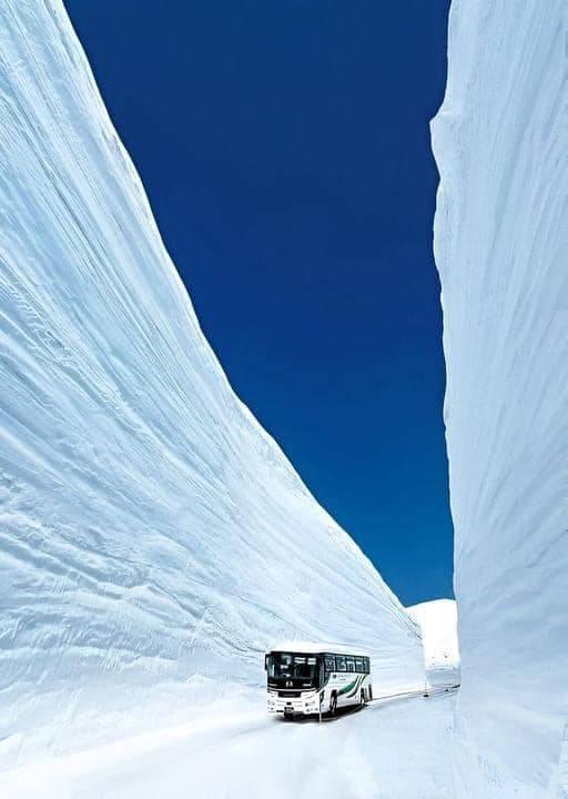 The famous Snow Corridor (a.k.a Yuki no Otani) in Toyama, Japan 🇯🇵