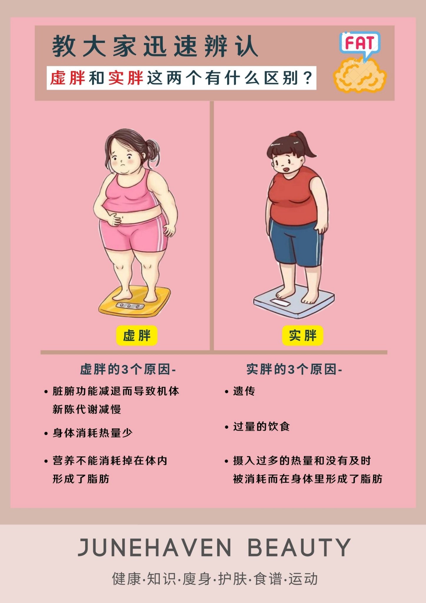 Junehaven - 迅速教大家辨认 【 #虚胖和实胖这两个有什麽区别】 你知道自己是哪种胖吗？ #健康知识... | Facebook