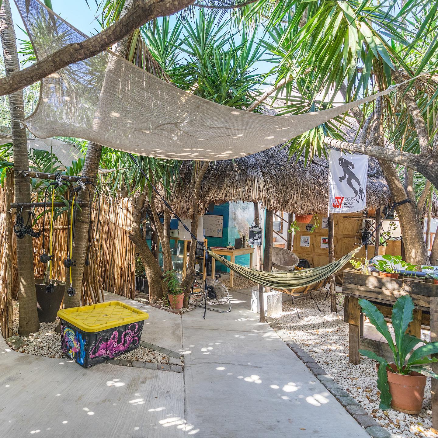 ¿Sabes 🤔 que es... - The Dive Machine Diving Playa Del Carmen