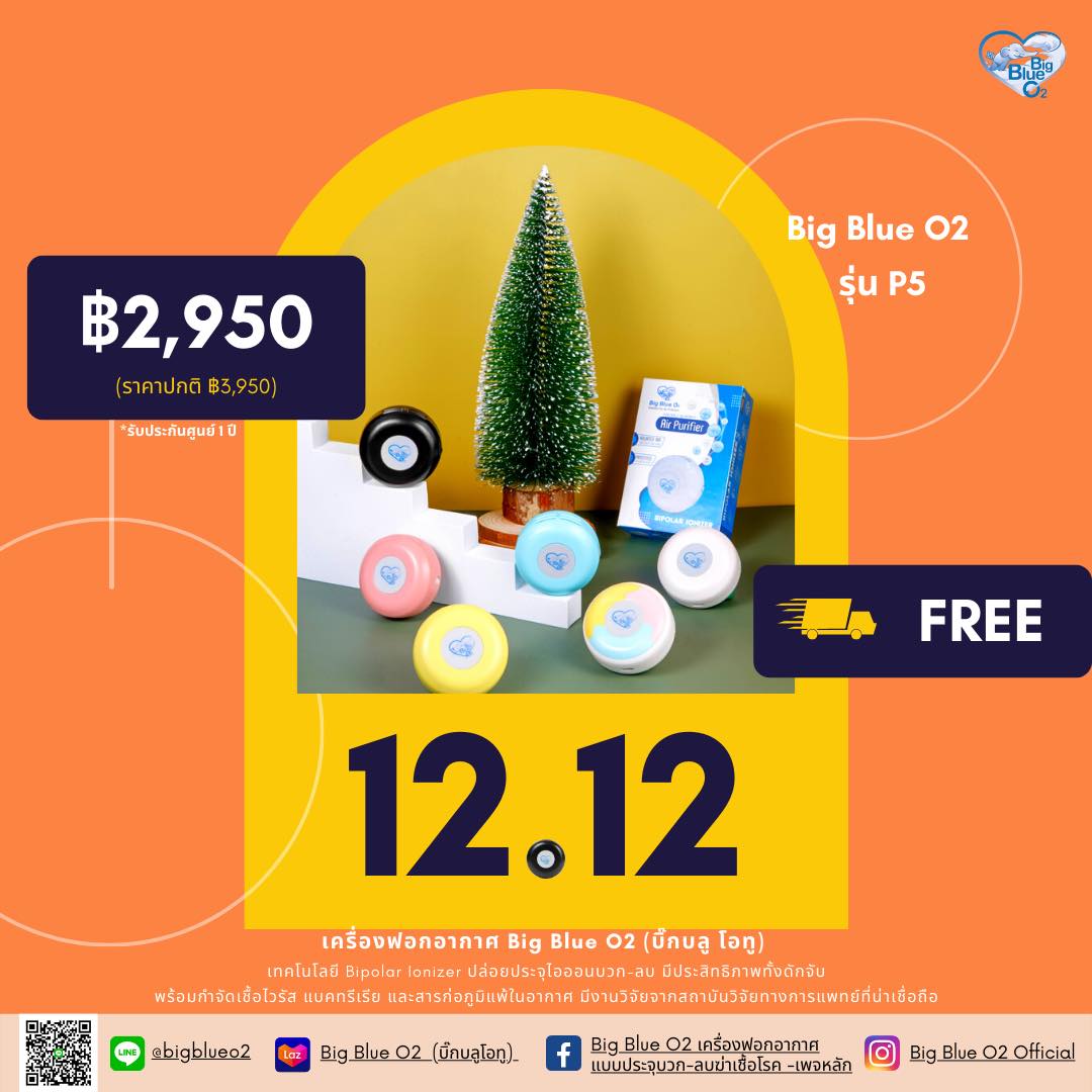 Big Blue o2 เครื่องฟอกอากาศแบบประจุบวก-ลบฆ่าเชื้อโรค - เพจหลัก