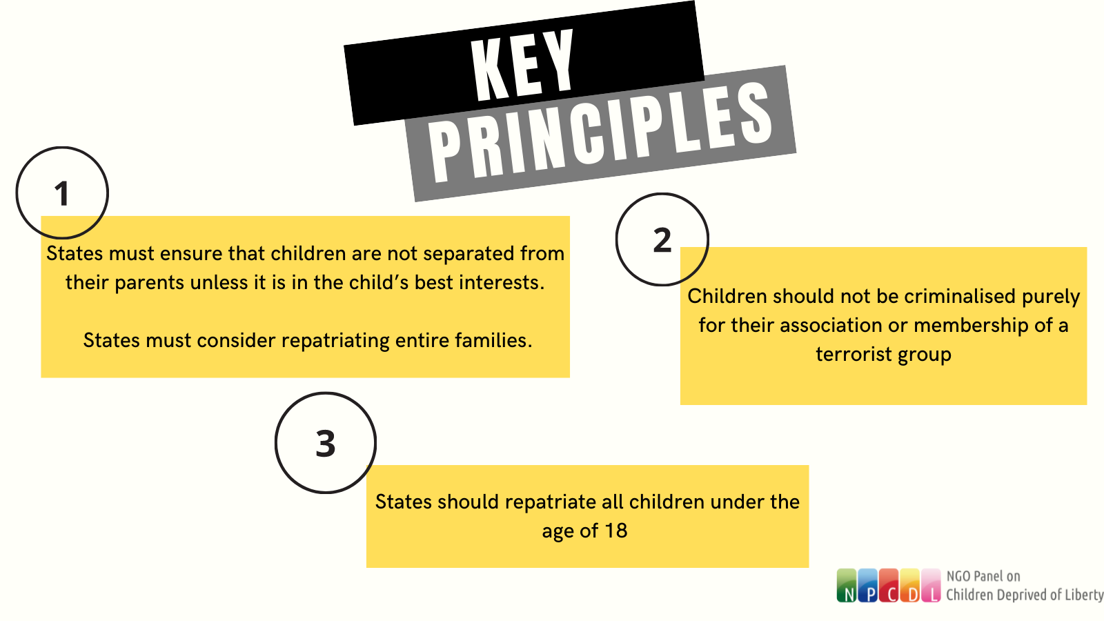 NGO Panel for the Global Study on Children Deprived of Liberty