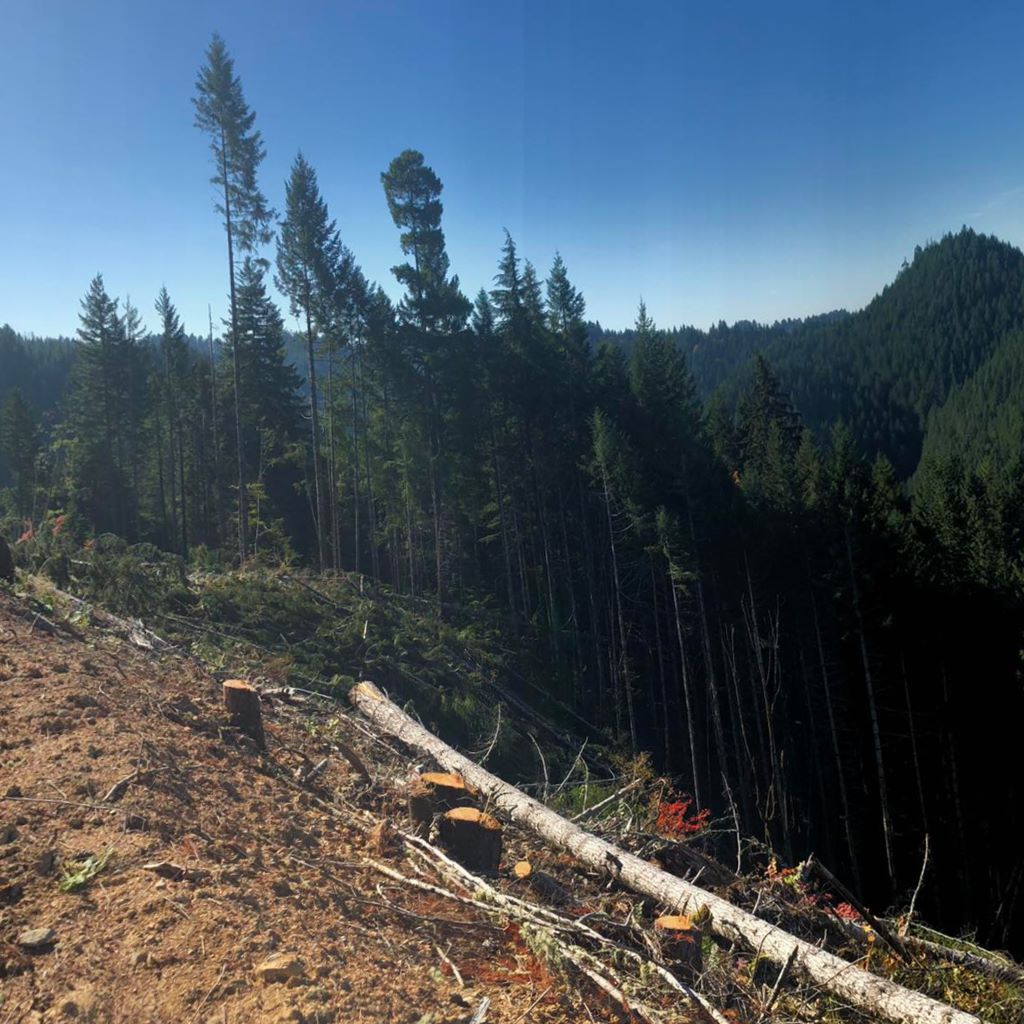 Cook's Timber Falling LLC | Klamath Falls OR