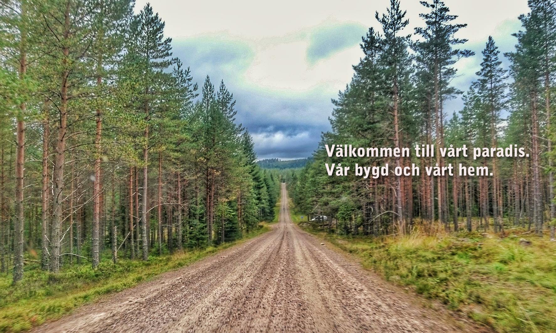 finnskogen-v-gen-till-finnskogen-v-gen-till-v-rldsarv