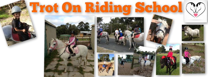 Showgrounds North Riding... - Showgrounds North Riding School