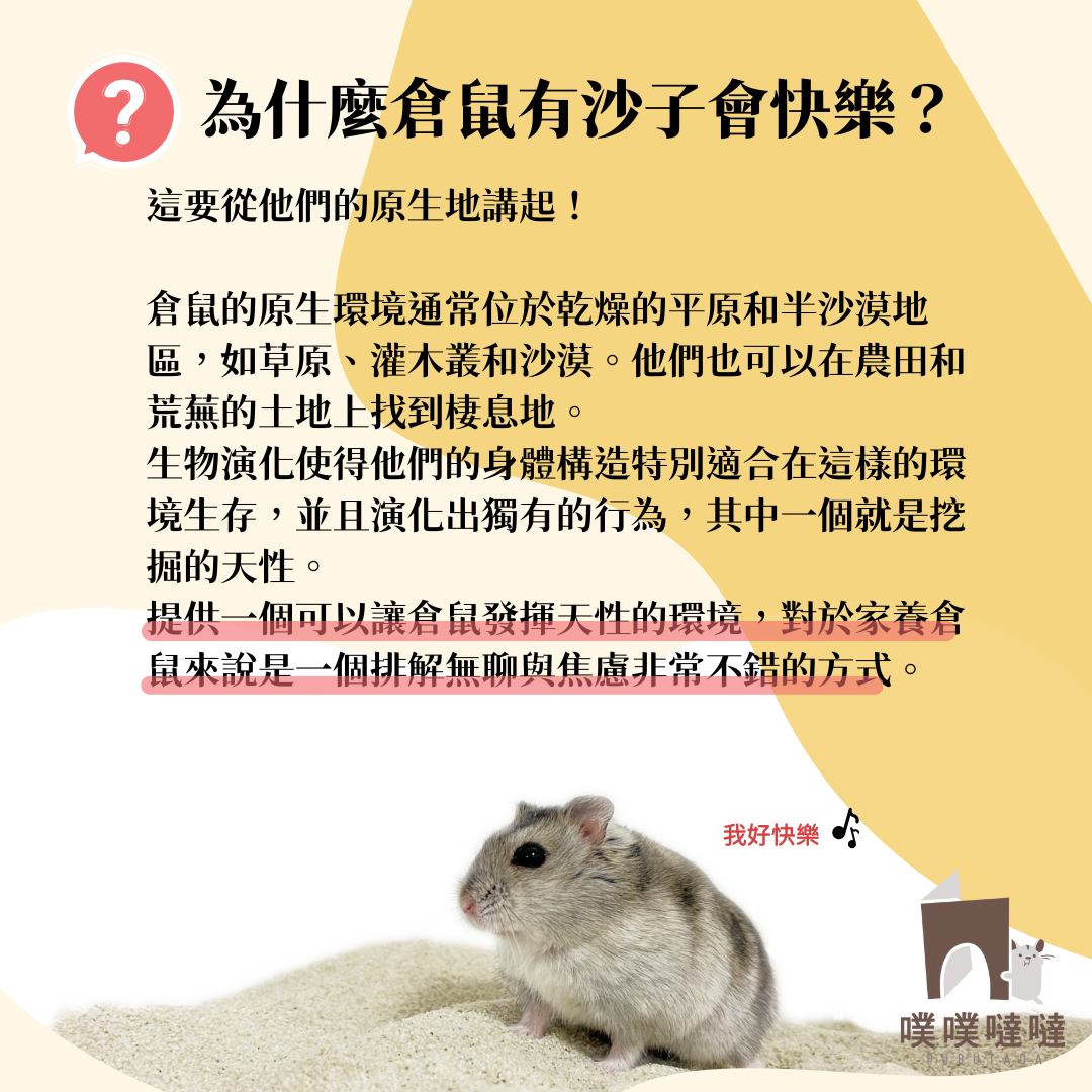 噗噗噠噠 - #噗噠知識+ 好久不見的噗噠知識＋ 是超常被問到的問題 今天就來大解惑!!!!!! 趕快來看吧🐹...