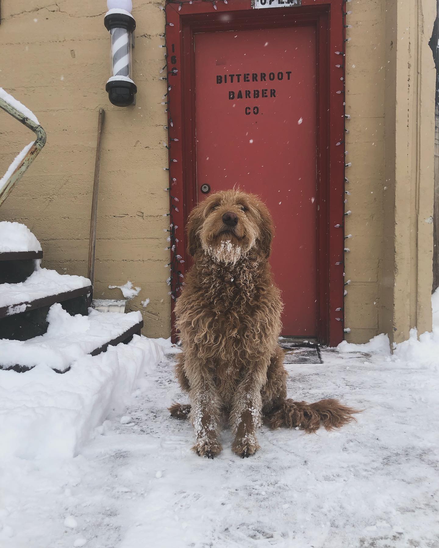 Bitterroot Barber Company | Hamilton MT