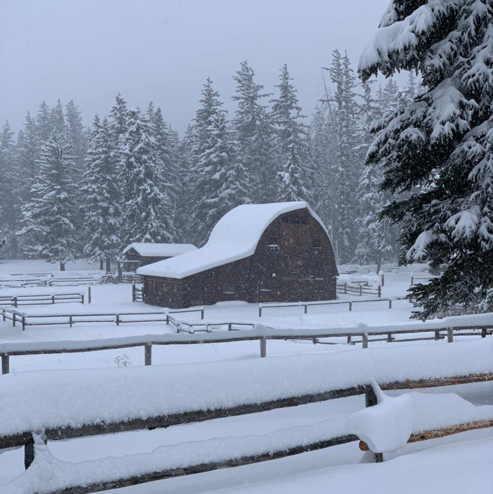 Cozy cabin + winter views = perfection... - Trail Creek Ranch | Facebook