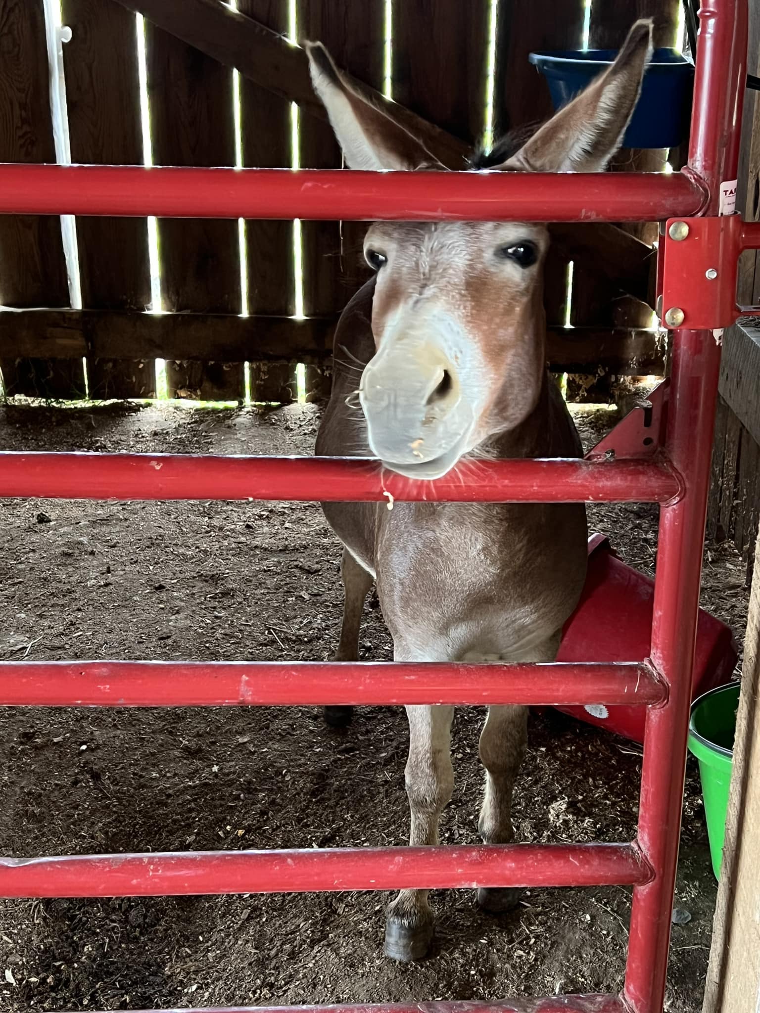 Arrow B Ranch, LLC - Come see Poncho and the gang this weekend ...