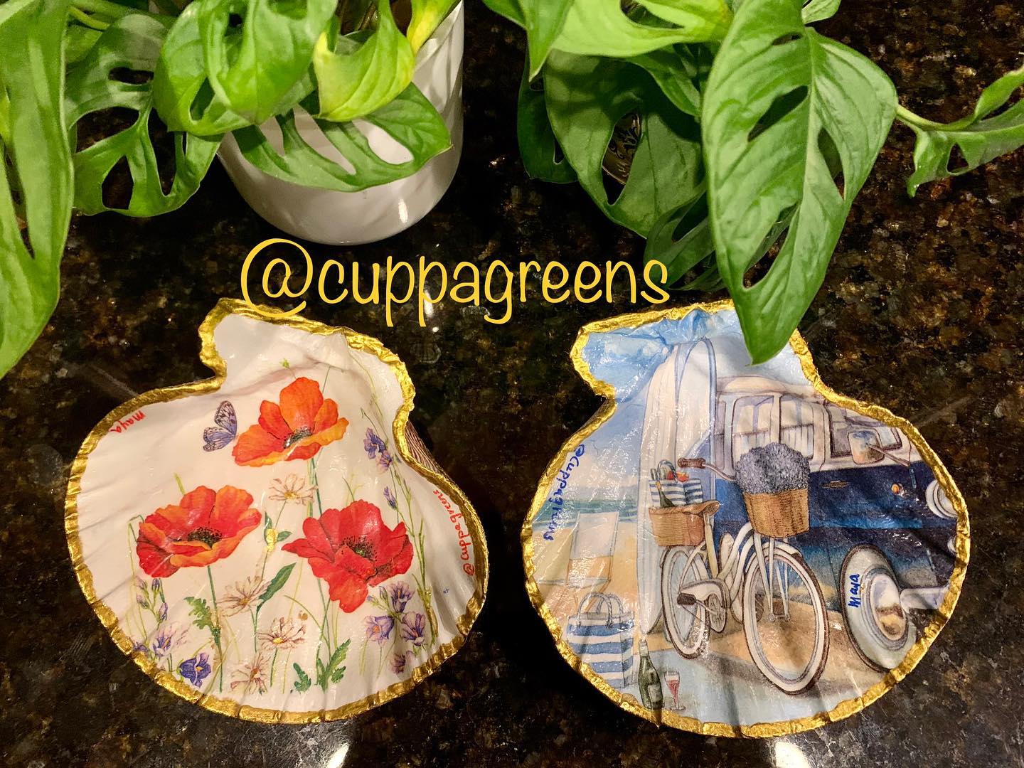 Cuppa - These are so addictive to make! Lion’s Paw Scallop Shells with ...