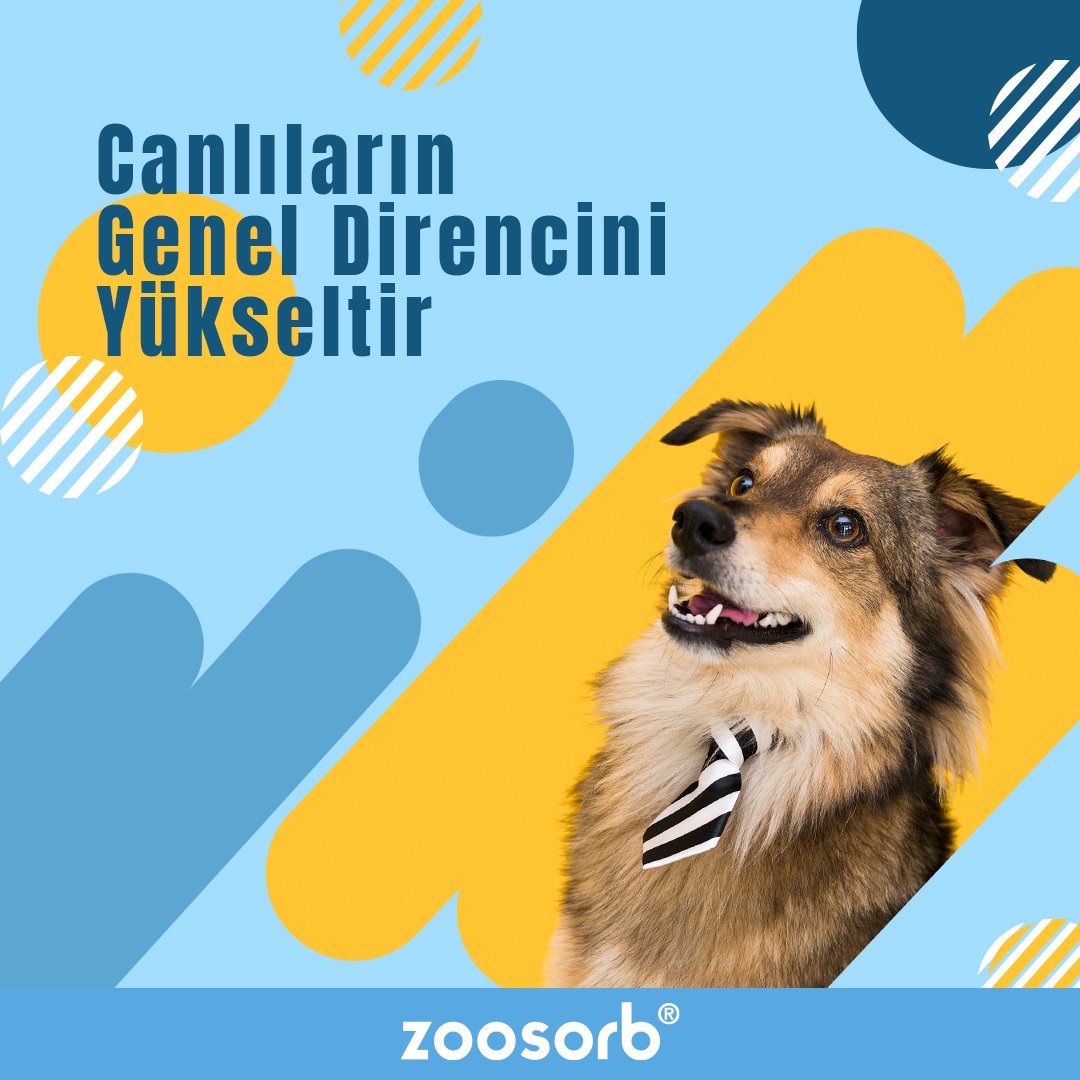 Zoosorb - Zoosorb Veteriner yem katkısıdır, toksik...