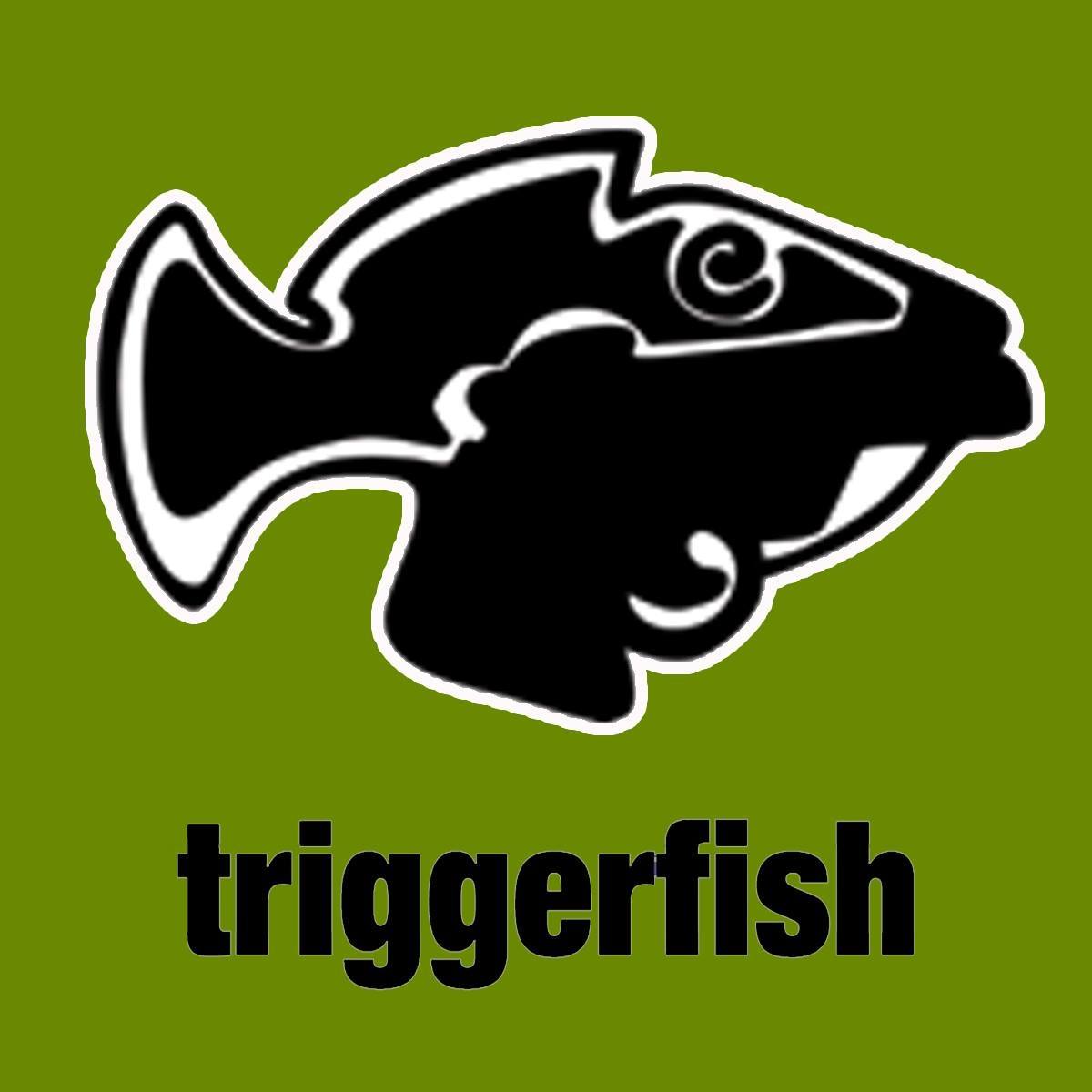 triggerfish.de - Portal für moderne Popkultur | Düsseldorf