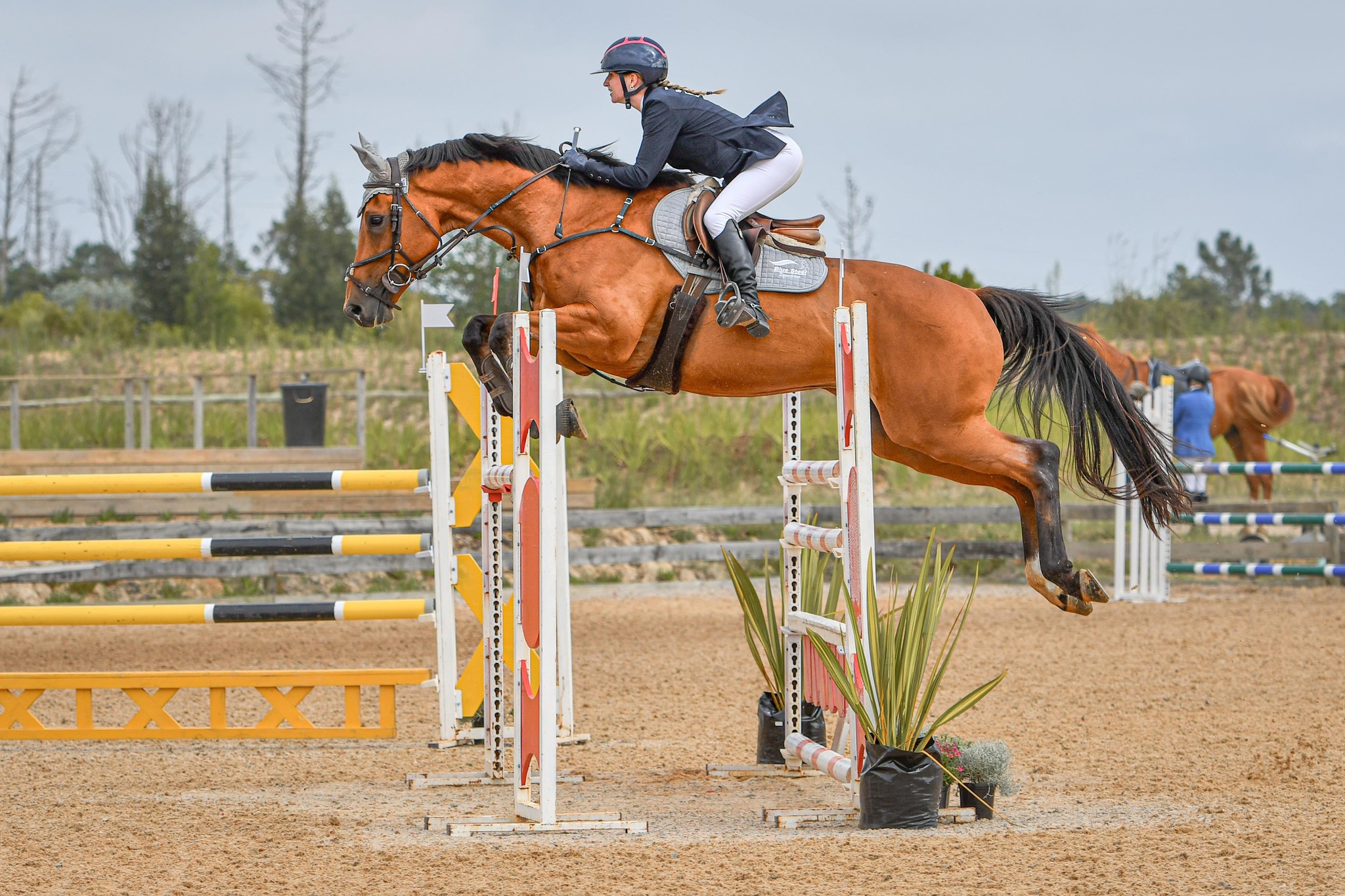 Jockey Journal SA - 😎🌻Rider Profile🌻😎 🌈🦄@jules_equestrian “Jules”🦄🌈 🦄 ...