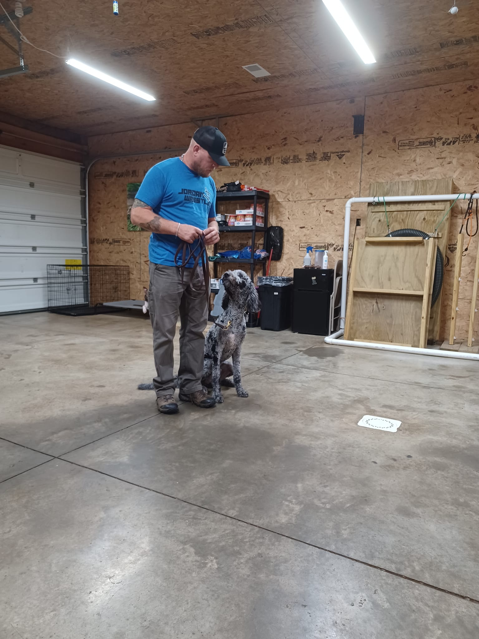 Meet Maynard, he is a 7 month old... - Dog House Training | Facebook