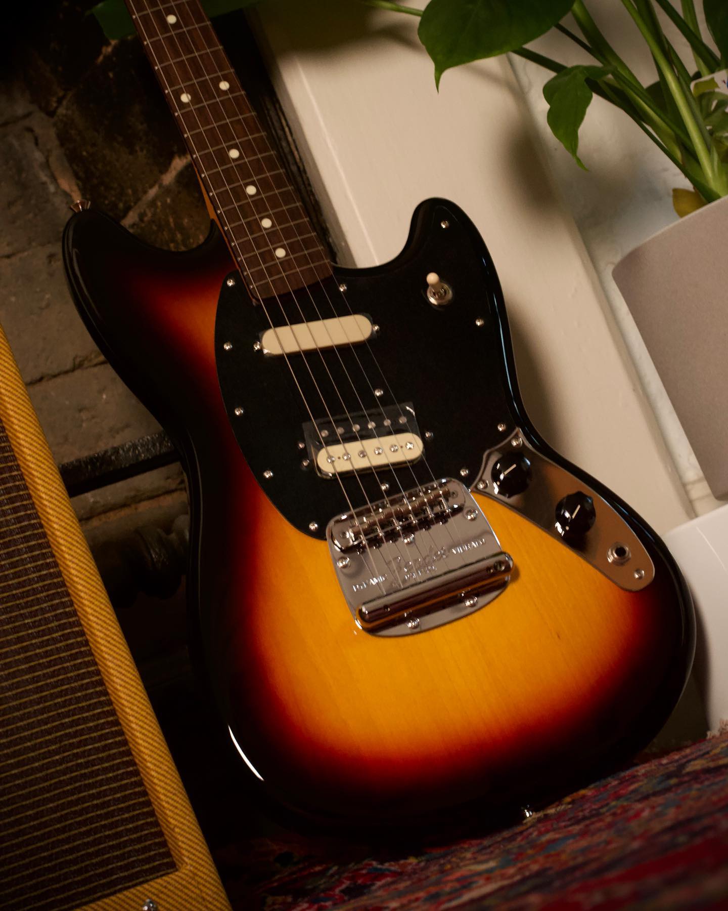 Fender Limited Edition 