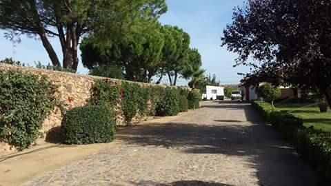 ROYRA