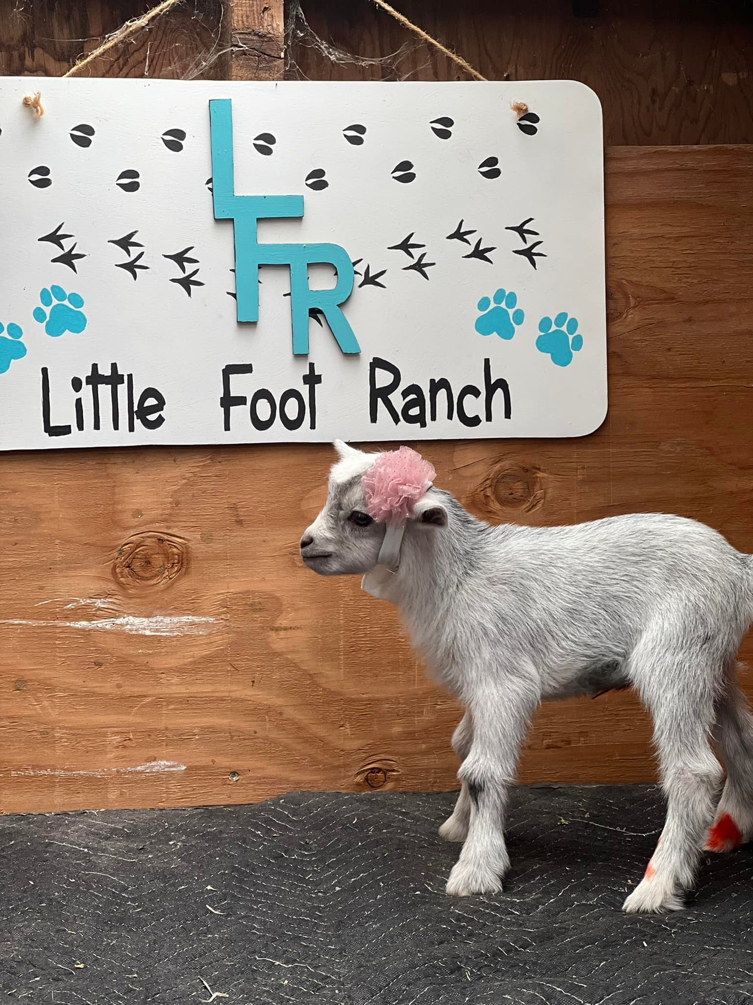 Little Foot Ranch added a new photo. - Little Foot Ranch