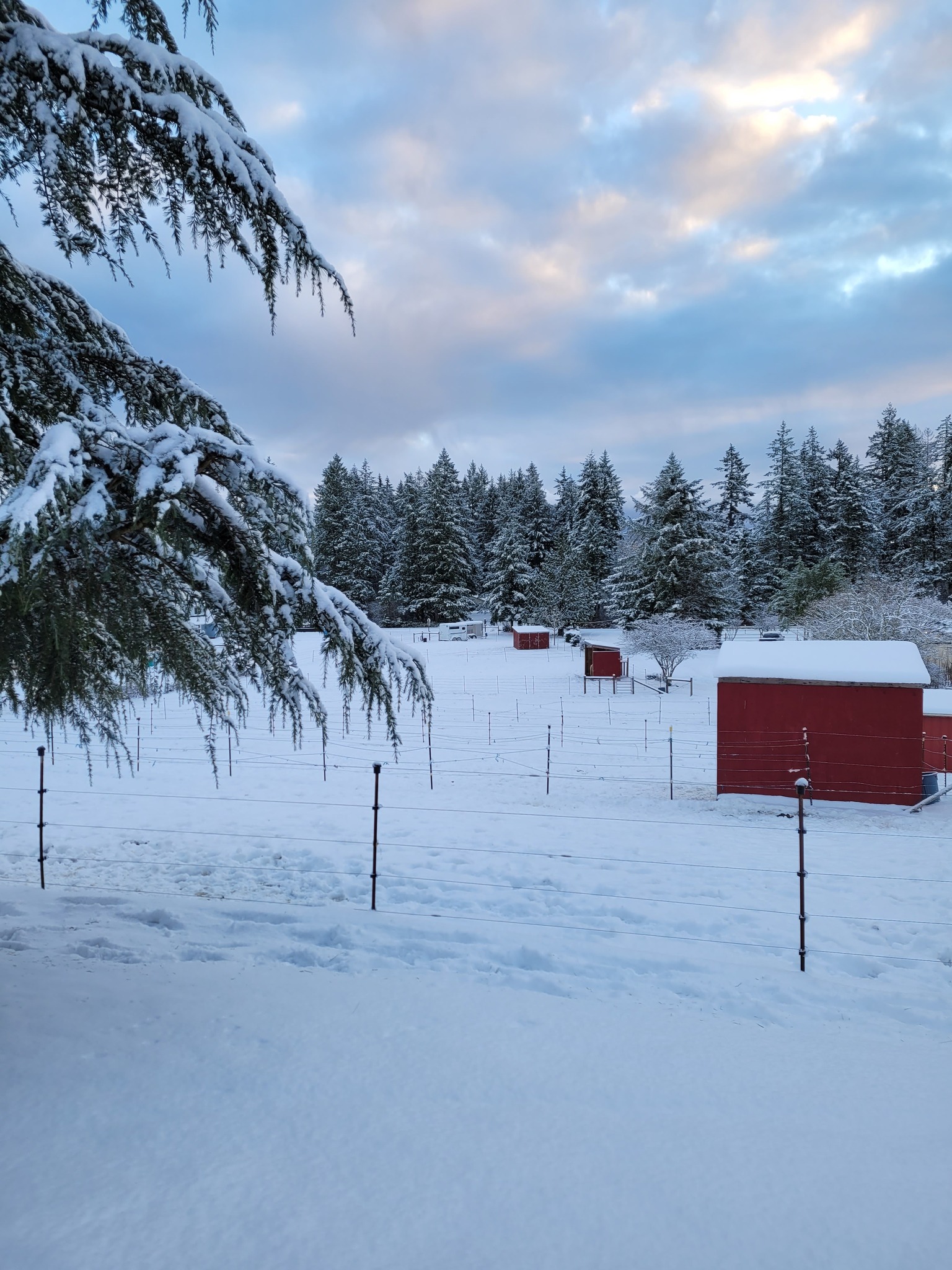 Front and Center Horse Riding Academy | Gig Harbor WA