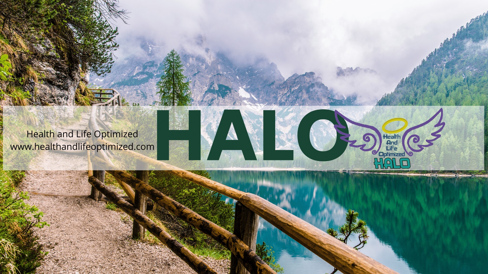HALO - Health And Life Optimized | Wilmington NC