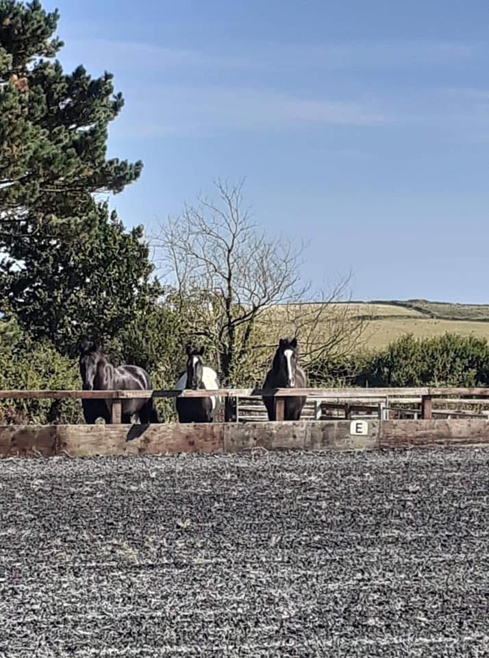 The Veryan Riding Centre | Truro
