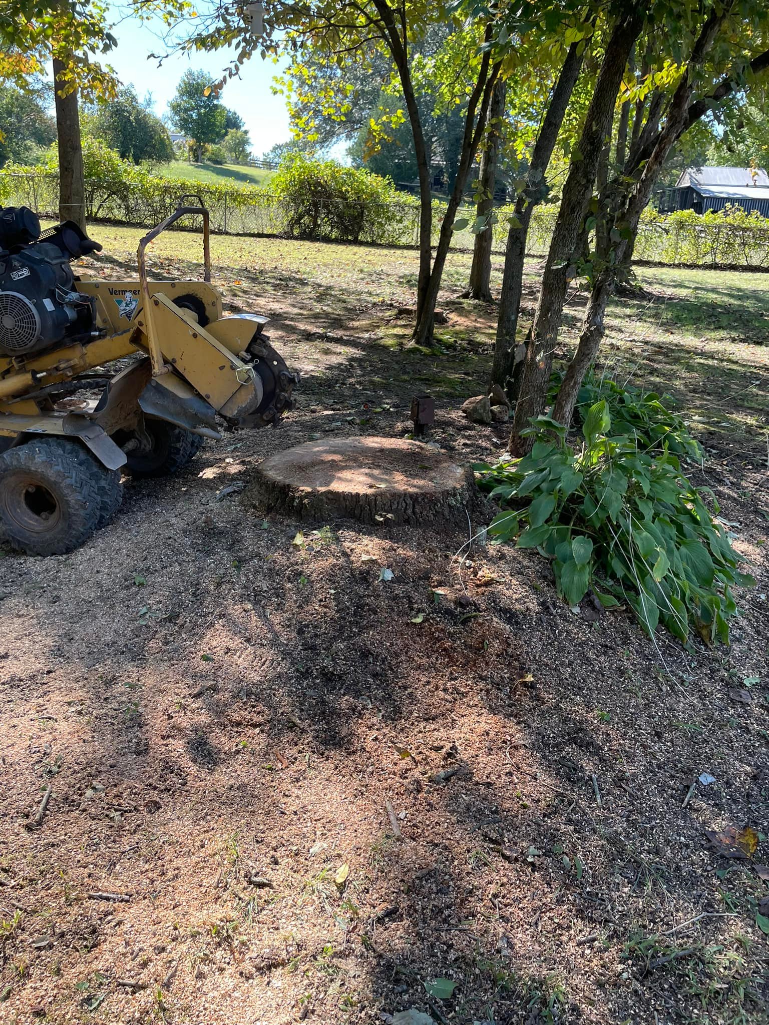 Mendez Tree Professionals