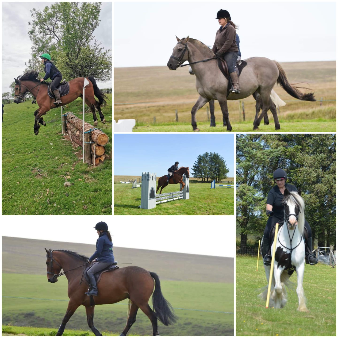 Starlight Riding Centre added a... - Starlight Riding Centre