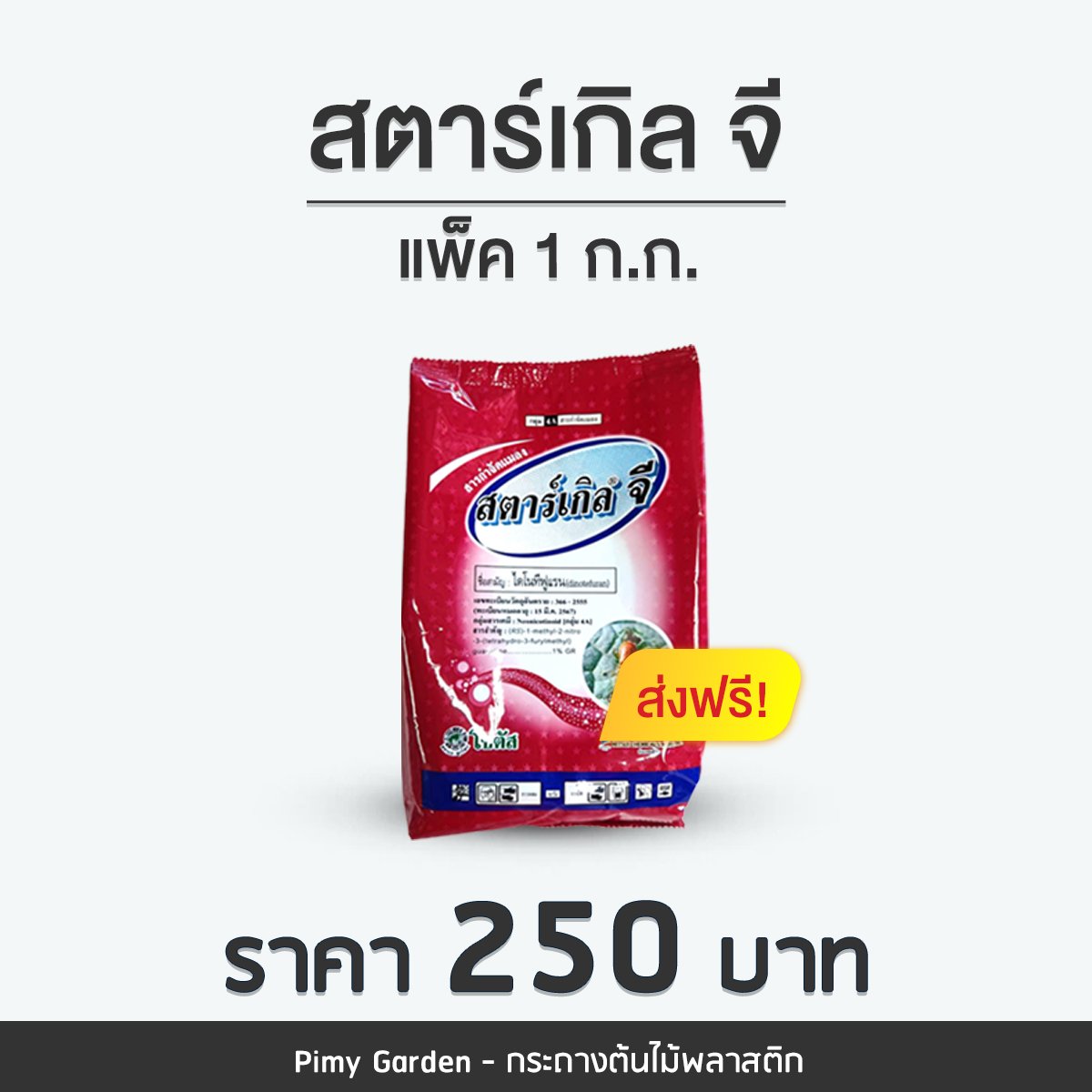 🌵 สตาร์เกิล จี... - Pimy Garden - กระถางต้นไม้พลาสติก