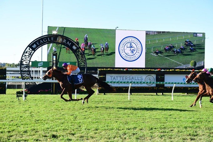 Vandyke Racing - 💛 Slick triallist EASY LOVE aims to... | Facebook