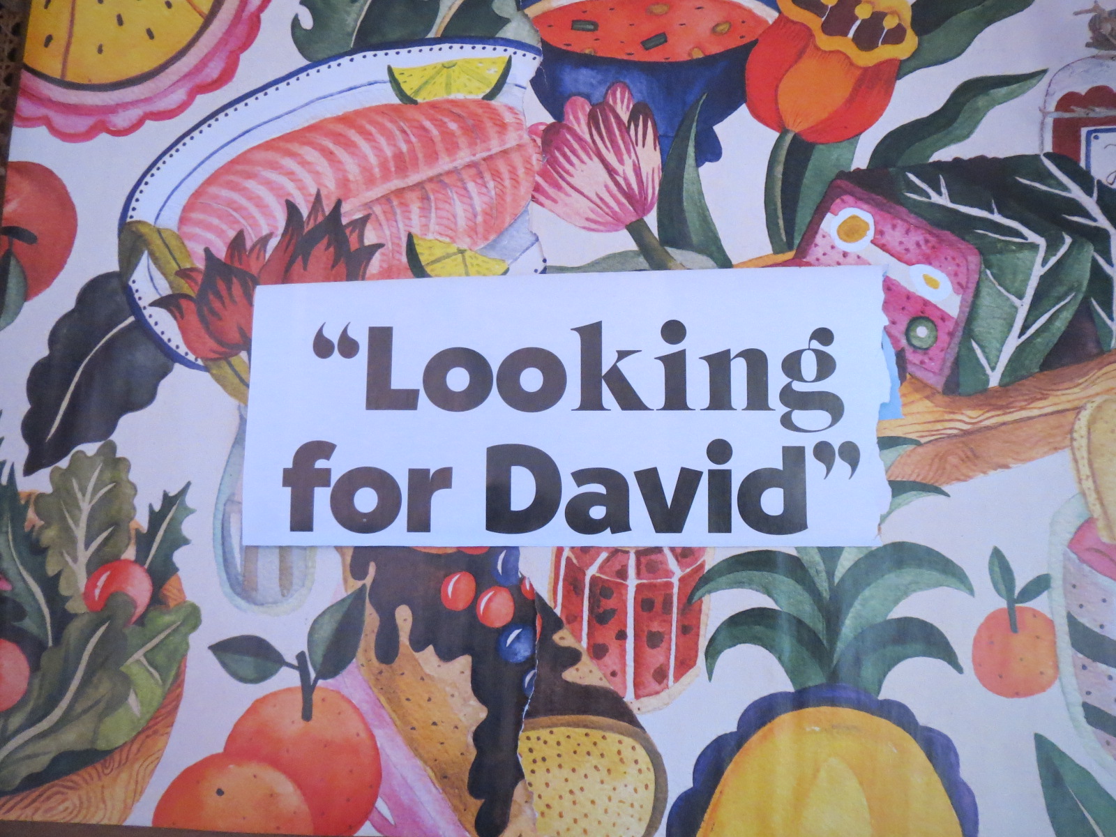 David Télévision
