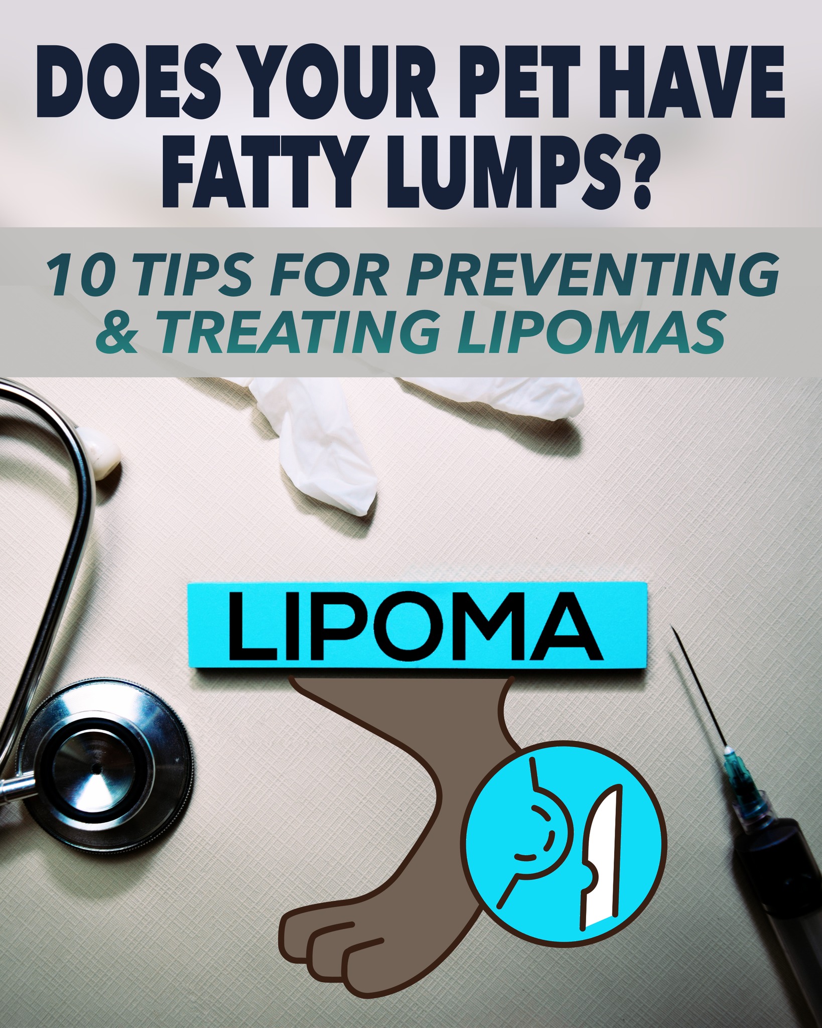 l carnitine for dogs lipoma Lipomas in Dogs: 5 Natural Remedies PKperekond Dog Lipoma Treatment, L-Carnitine