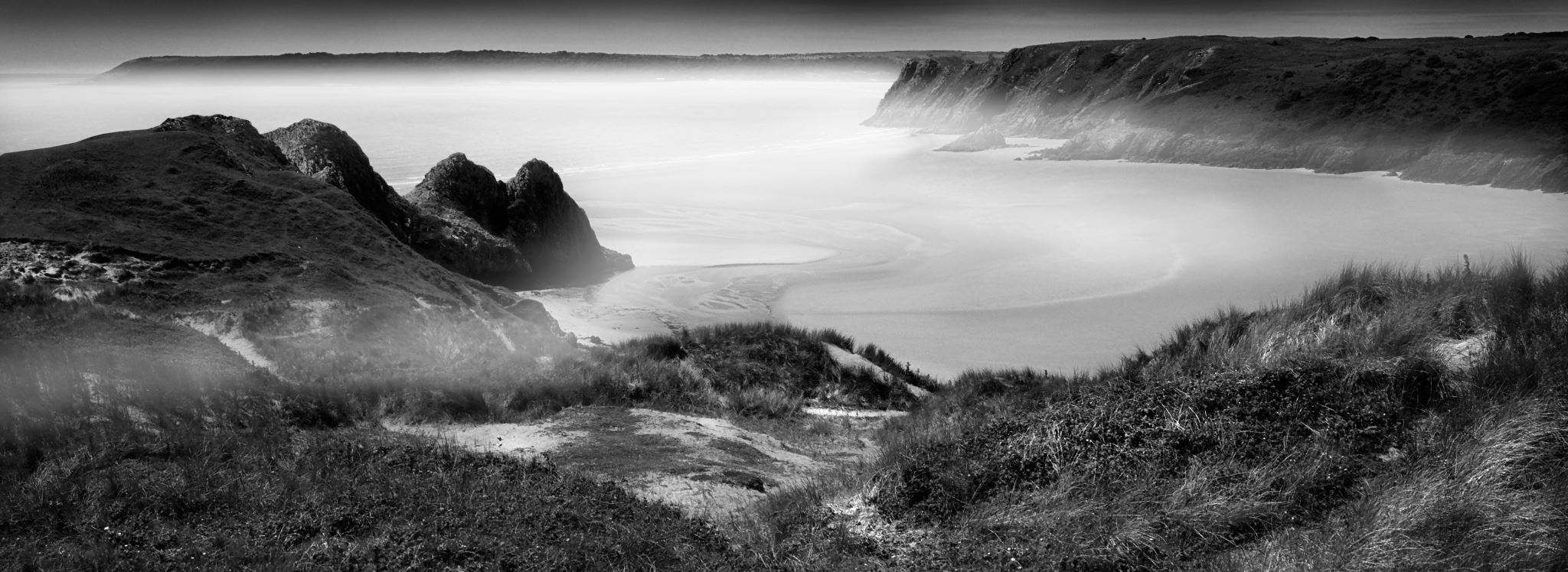 Neil Collier Photography