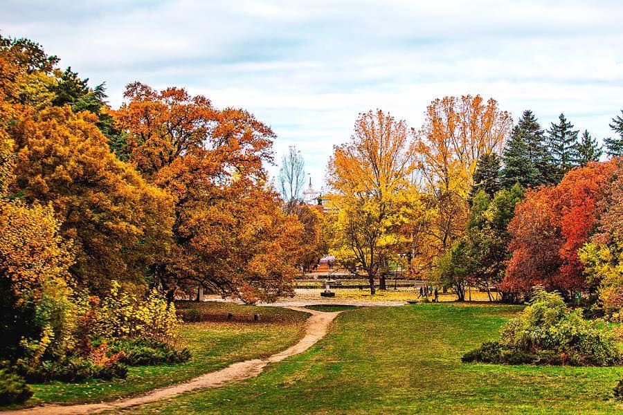 София (Sofia)