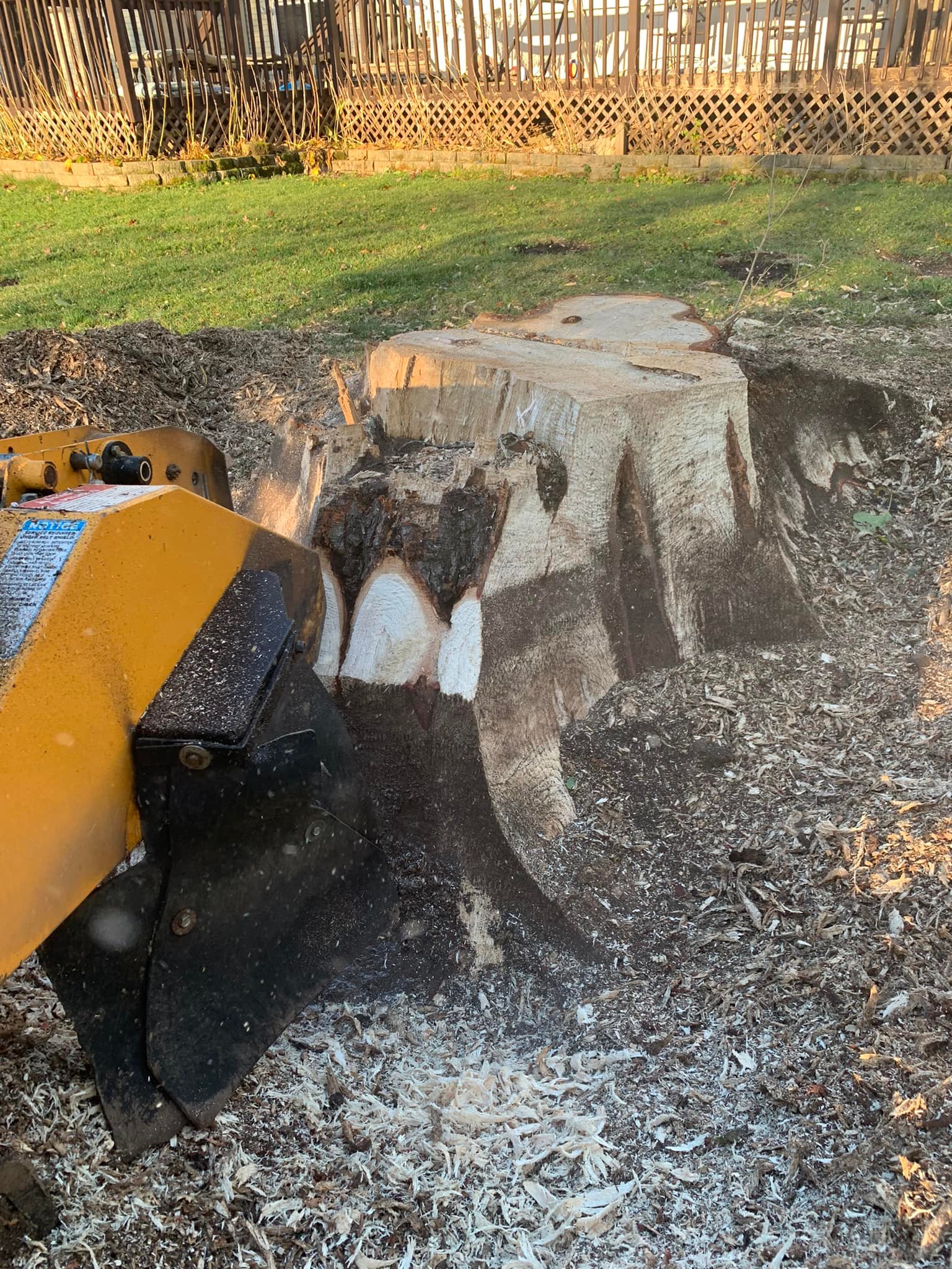 Cornerstone Stump Grinding LLC | Sun Prairie WI