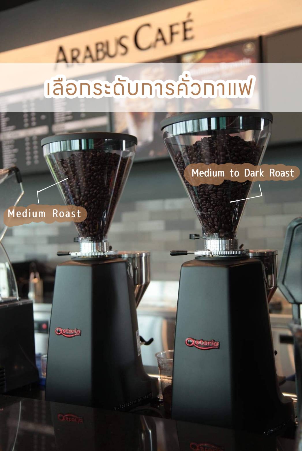 Arabus - Arabus Cafe เลือกระดับการคั่วในเมนูสุดโปรดได้แล้วนะรู้ยัง ...