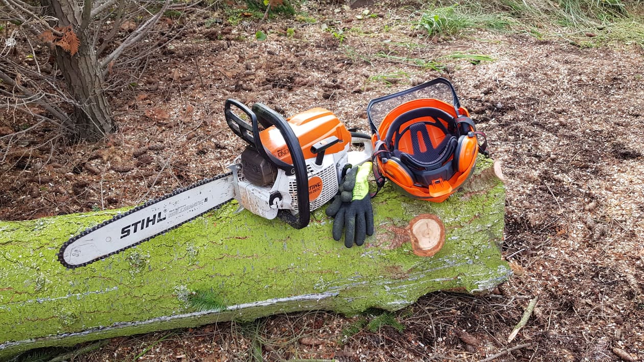 Treebee Baumschnitt, Höhenarbeit Und Industrieklettern – VDLBT