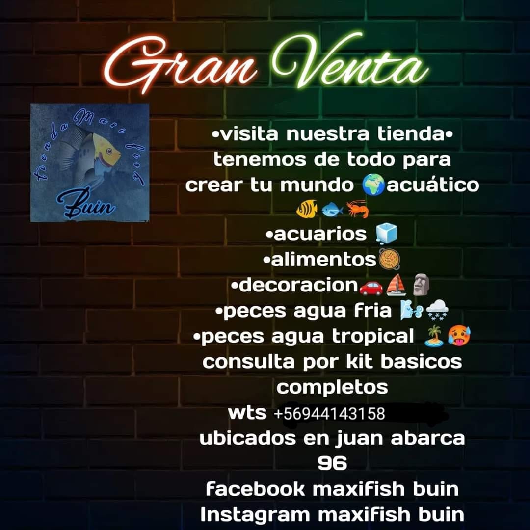 Maxi Fish Buin