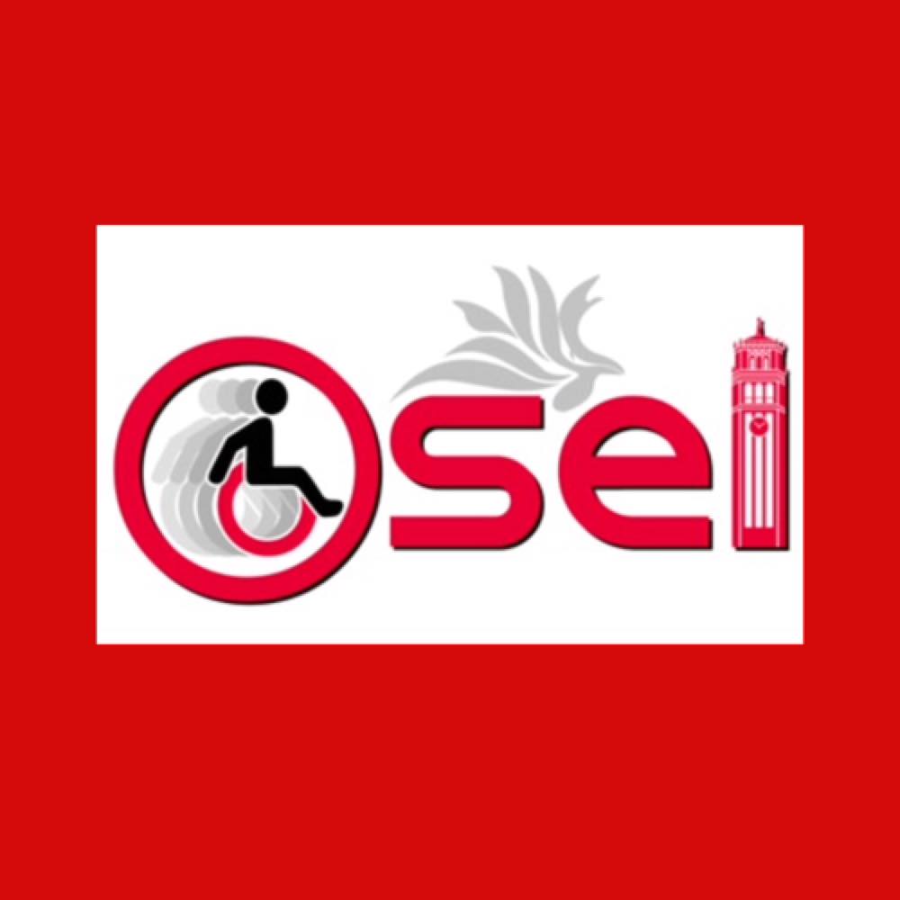 OSEI UPRRP - Mitos y Realidades del Acomodo Razonable... | Facebook