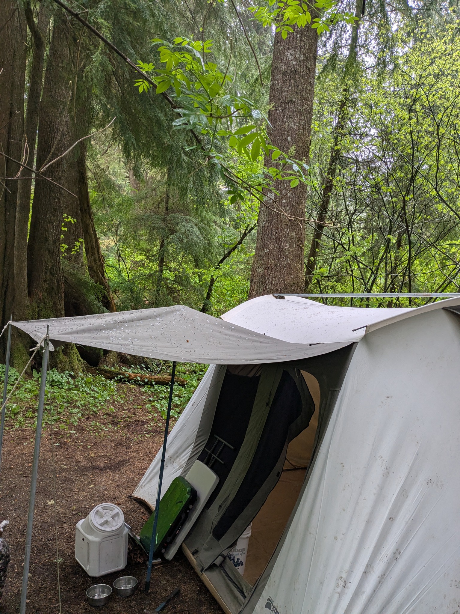 Reliable 10x10 Tents for Camping in Rainy Weather
