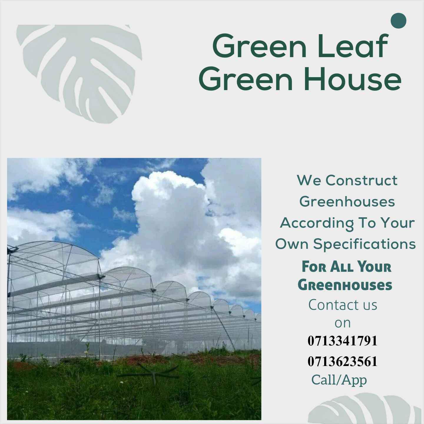 Greenhouses for sale in Harare, Zimbabwe Facebook Marketplace