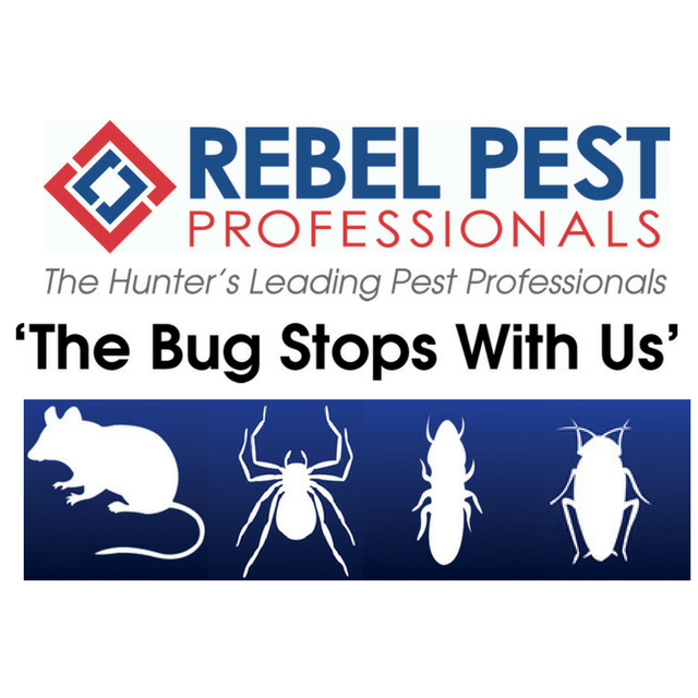 Rebel Pest Professional provide... - Rebel Pest Professionals | Facebook