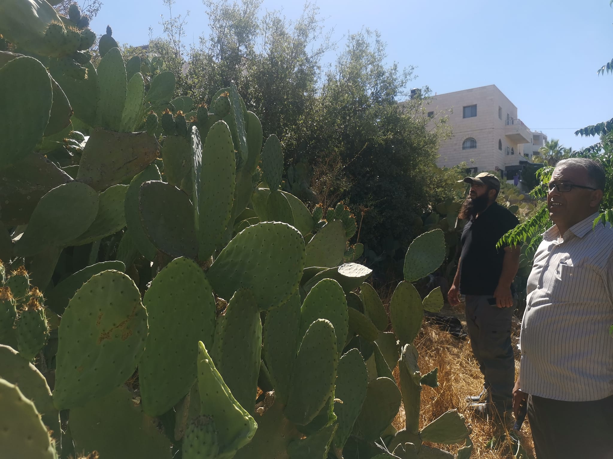 ن... - Bethlehem Agricultural Directorate-مديرية زراعة بيت لحم | Facebook