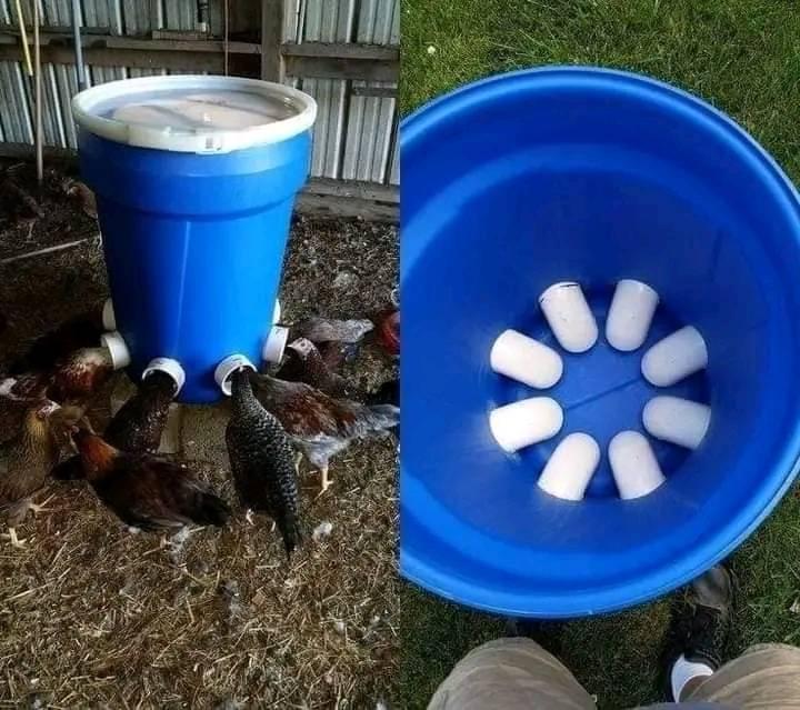 Namilo Poultry farms | Nakuru