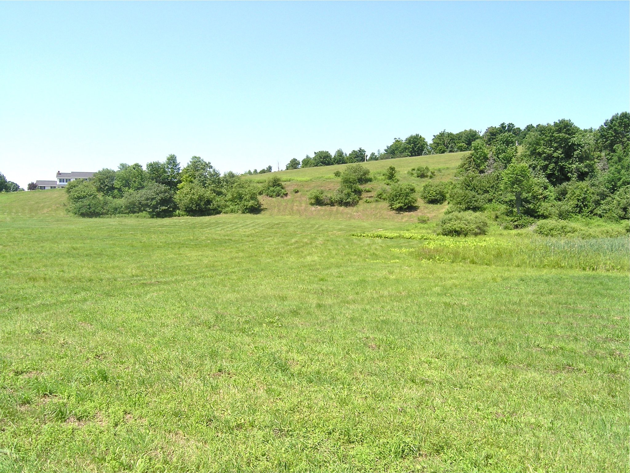 Cooperstown NY - 13.25 Acres of Land FSBO - 1GB Fibre-Optic Internet ...