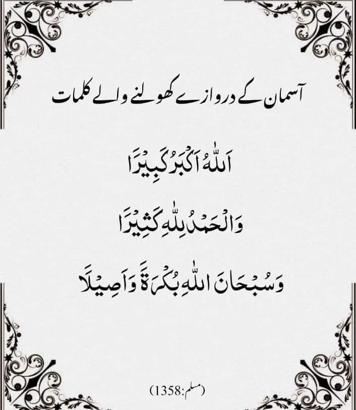 Waheed Shah