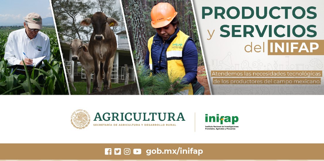 INIFAP - El #INIFAP genera y adapta... | Facebook