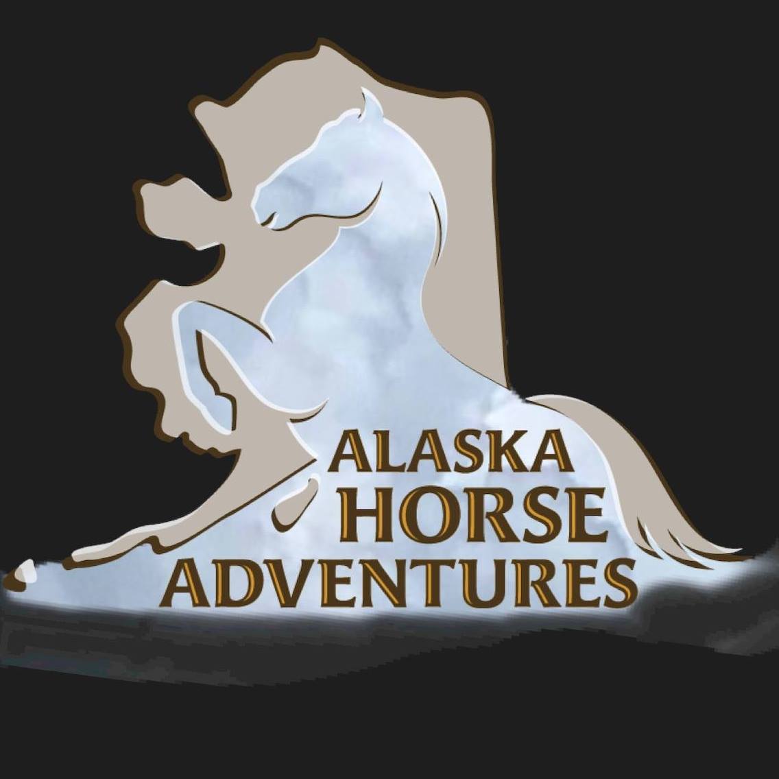 Alaska - Our lovely lady • • • • • #akhorseadventures # ...